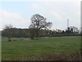 Fields near Codnor Gate