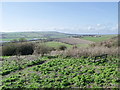 Footpath and seat on Mill Hill, Shoreham, West Sussex