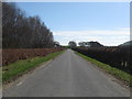 Country road heading for Lambholm