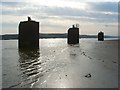 NS4273 : Bollards on the River Clyde by Lairich Rig