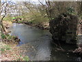 Cod Beck Mill Race