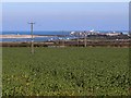 Estuary of the River Coquet