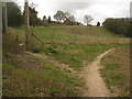 Footpath junction near Shalmsford Street