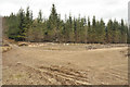 Machinery parking/turning area in Cragganmore Wood