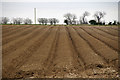 Potato Field near Bonby Top Farm