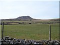 Fields on the eastern slopes of Pen-y-gaer