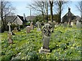 Churchyard, Halwill