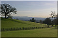 Towards Reigate Hill