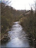 SD8022 : River Irwell, Rawtenstall by David Dixon