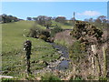 Stream which contributes to the River Ystrad