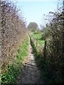 Footpath, Alderholt