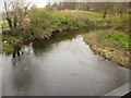 Roath Brook, Pen-y-Lan Road, Cardiff