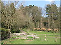 Haugh and woodland around Spoutwell Lane