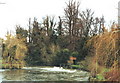 River Avon at Amesbury