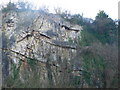 Cliff at Bryn Euryn park