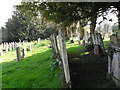 Spring in the churchyard at St Michael