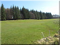 Fairway on Melrose golf course