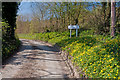 Lane and village sign - Llancarfan