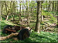 Woodland near Venters Farm