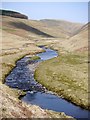 River Coquet north of Bygate Hall Cottages