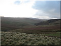 NT7907 : Upper Coquetdale by Pete Saunders