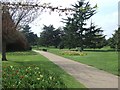 Tulips, Wallflowers and evergreen trees in the Flower Garden