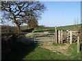 Gate and Stile on the Jurassic Way