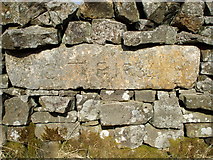 NZ0308 : Carved stone near East Hope by Matthew Hatton