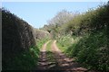 Bridleway to Cobhill Rough