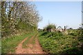 Bridleway to Redmarley D