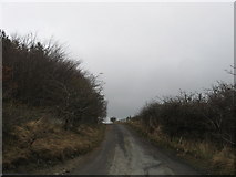 NT5019 : Track leading to Muirfield off the A7 by James Denham