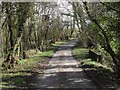 Road Crossing Stream