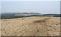 SS8692 : Track and upland view, Mynydd Pwll-yr-Iwrch (Mynydd Bach) by eswales