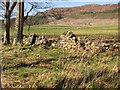 Ruined dyke, Eilean Darach