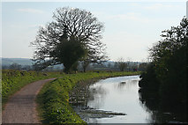 ST0213 : Sampford Peverell: Grand Western Canal 2 by Martin Bodman