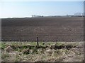 Ploughed field