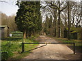 Bridleway into Bedgebury Forest