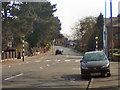 Zebra Crossing, Burton Road