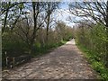 Thames Path