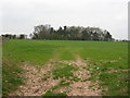 Field near Sytches Farm