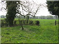 Fields near the former railway station, Pembridge