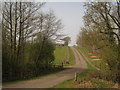 Farm road to Chicken Sheds