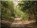 Footpath towards Mopes Den