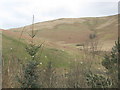 Grazing land on the lower slopes of Lightning Hill