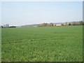 SU8508 : Field at Mid Lavant by Basher Eyre