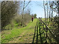 Chiltern Way by Bledlow Ridge