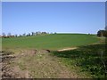 View south from entrance to Lambcote Farm