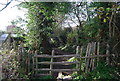 TQ6841 : Stile entering Brenchley, High Weald Landscape Trail by N Chadwick