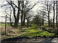 Start of footpath to High Knells