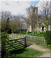 A Catwick Footpath